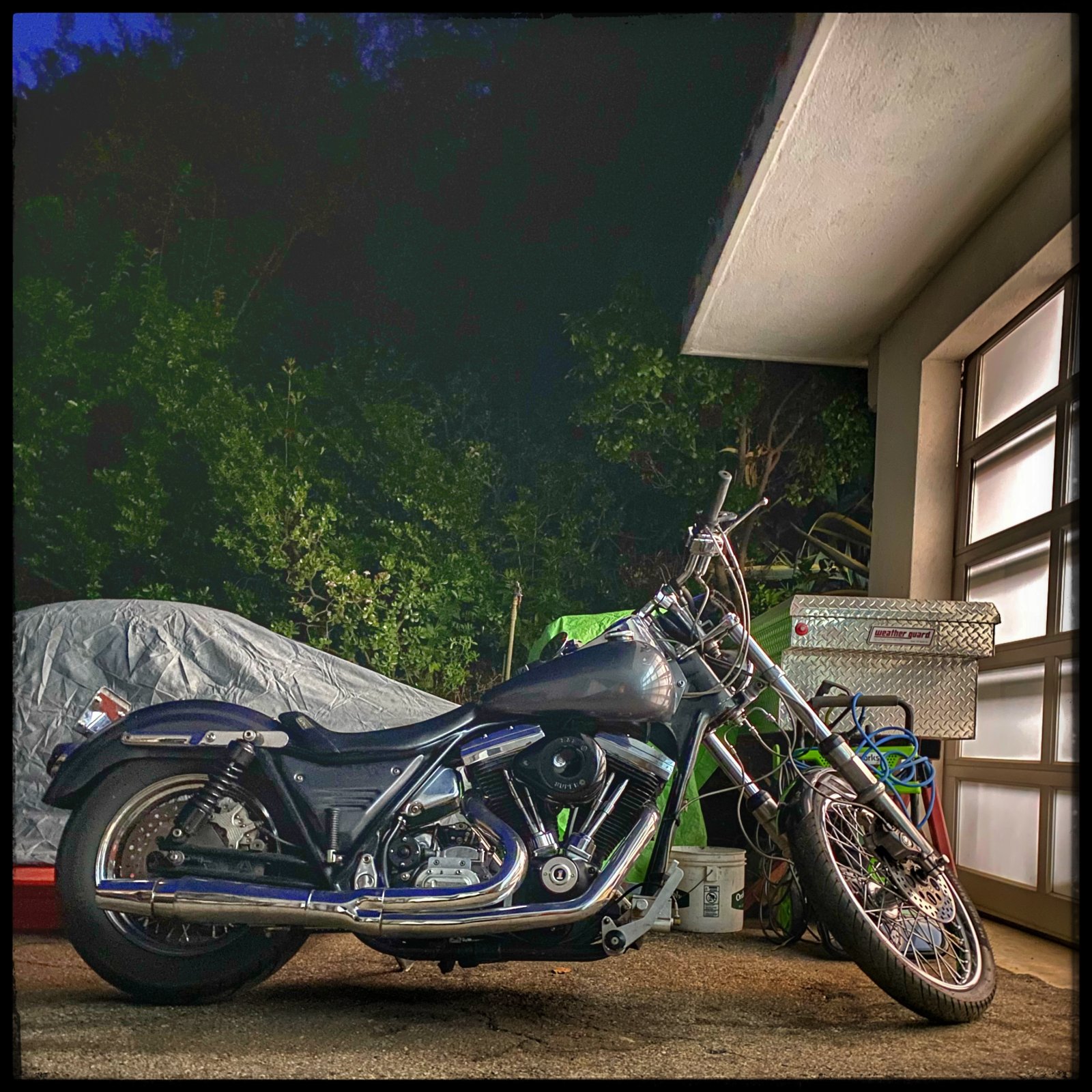 FXR.jpg