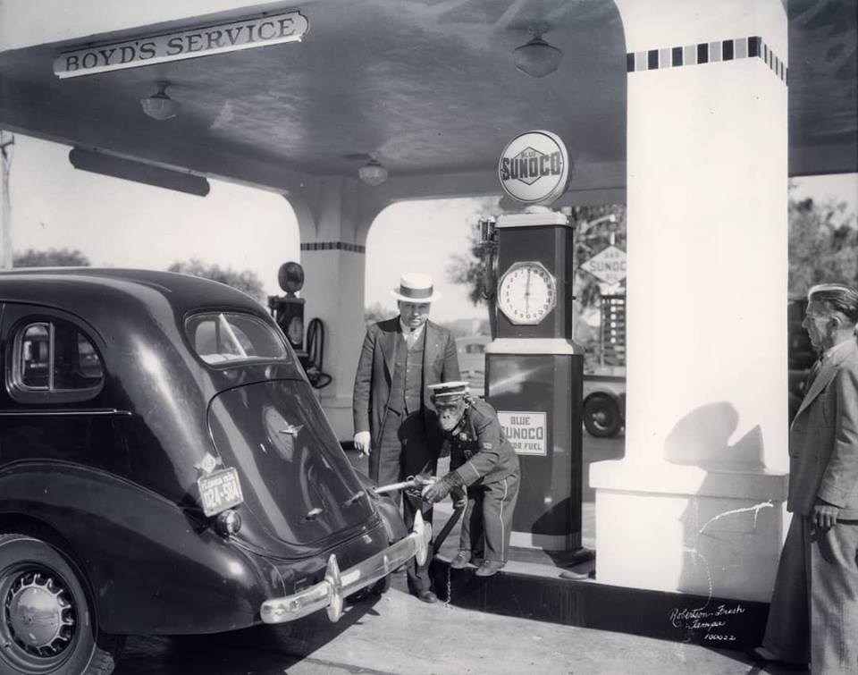 gas station 1937 Sunoco monkey.jpg