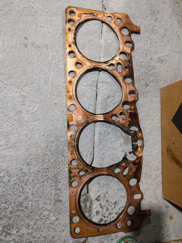 gasket.jpg