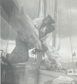 gitana1.jpg