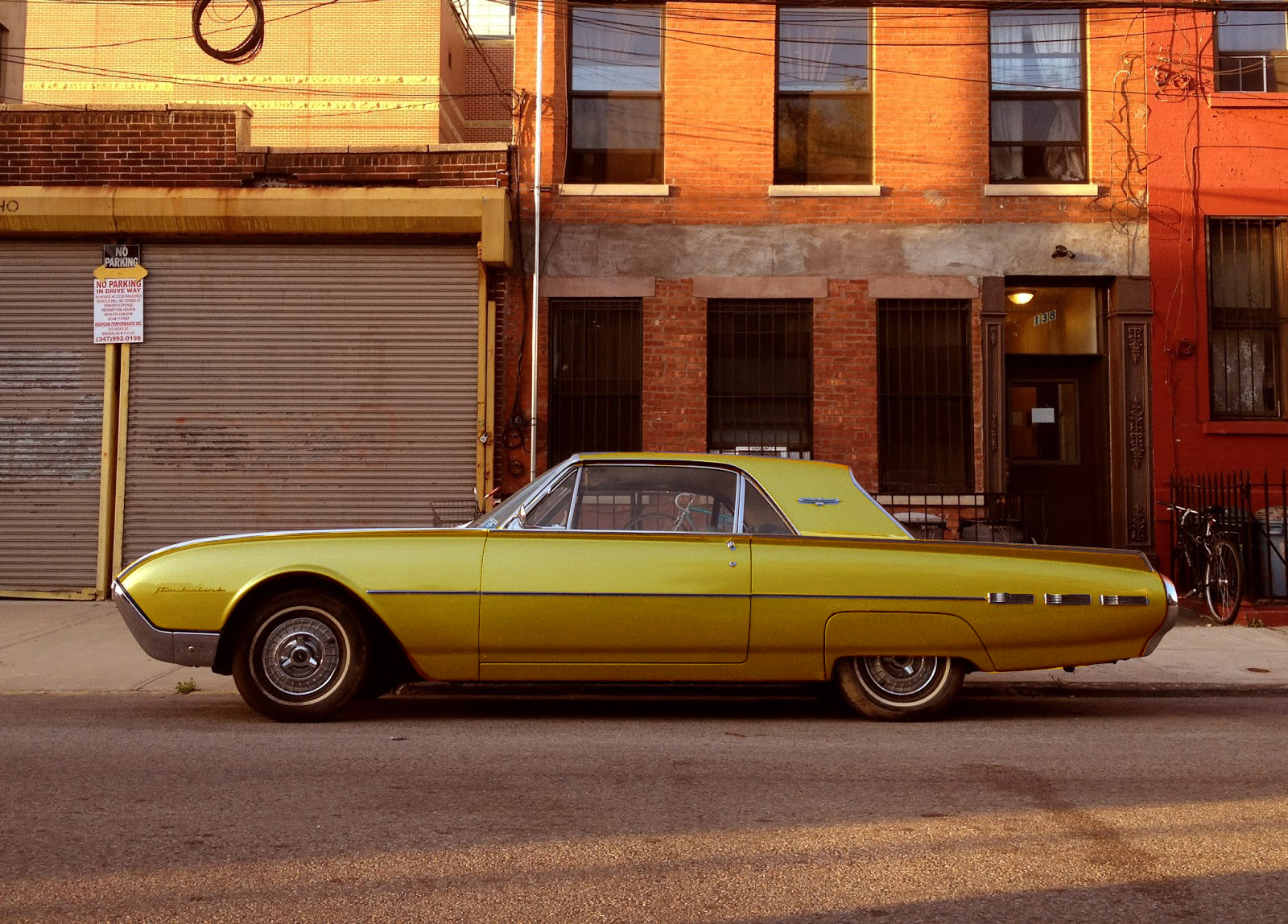 Gold T bird.jpg