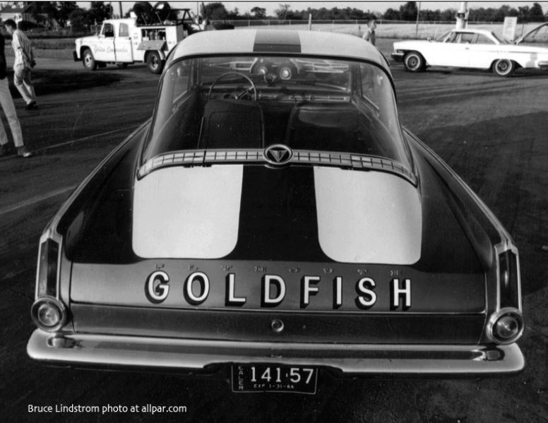 golden Commandos Gold fish3.JPG