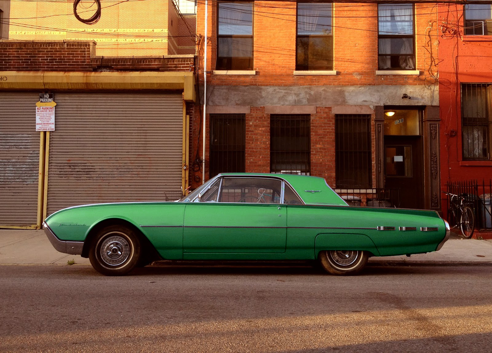 Green T bird.jpg