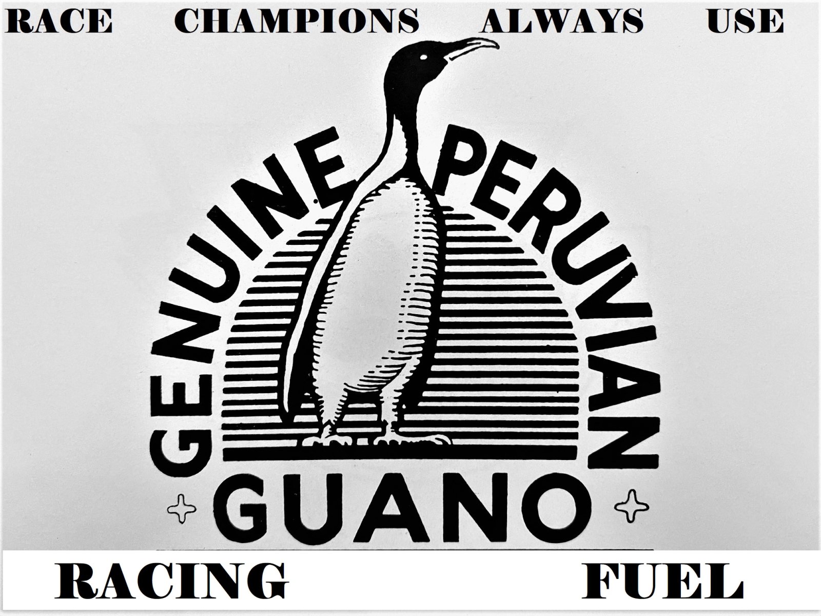 GUANO RACING FUEL.jpg