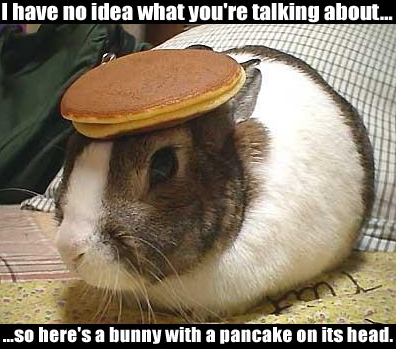 Hamb bunny.PNG