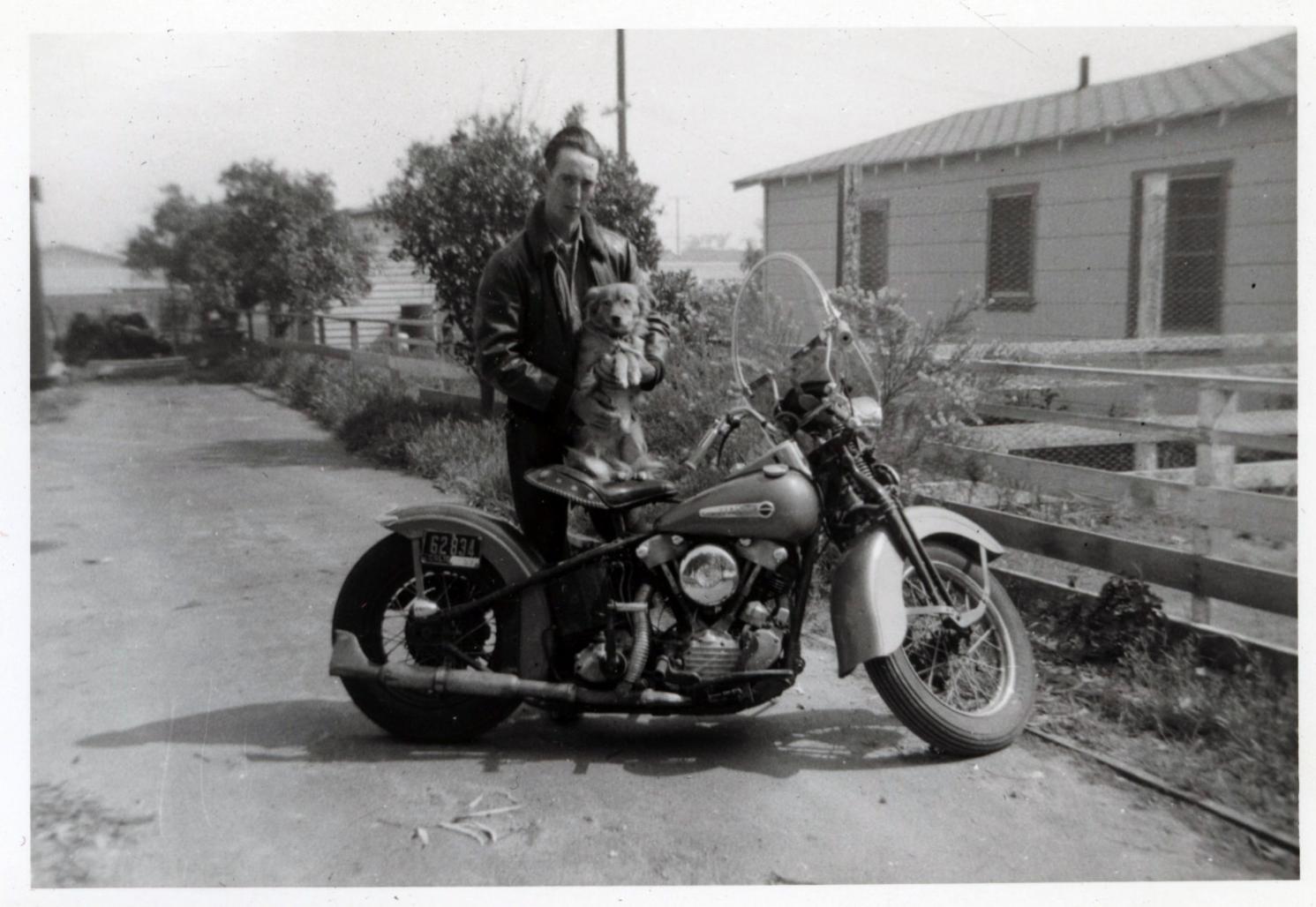harley dog.jpg