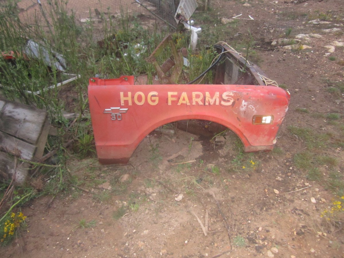 hog farm 001.JPG