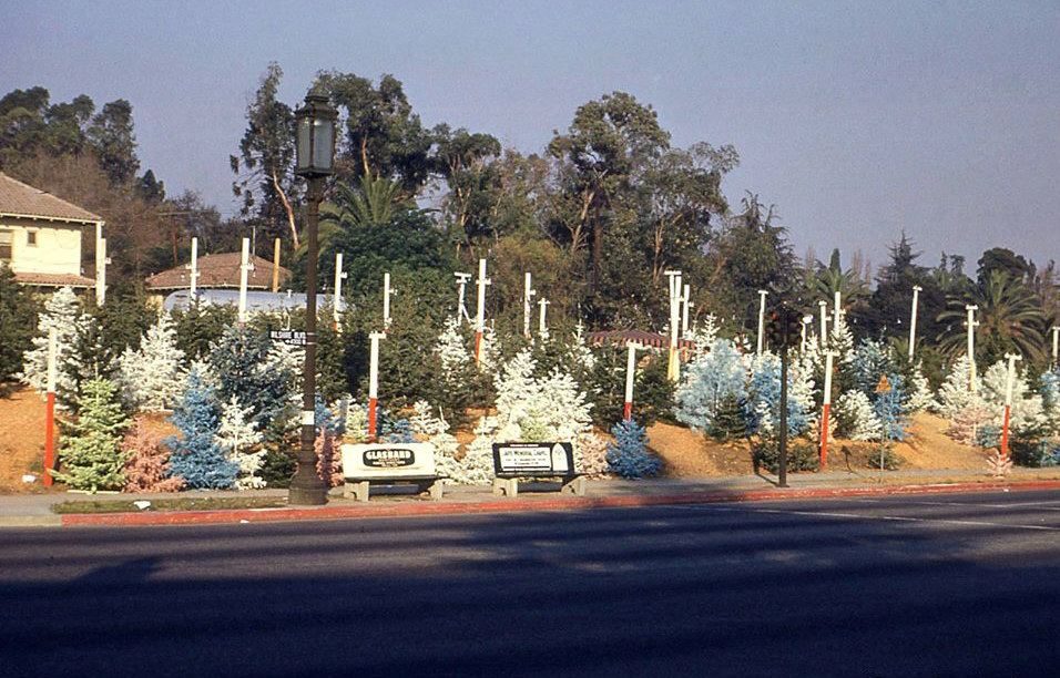 holiday Christmas place 1957 LA CA tree lot  Wilshire Blvd 4300.jpg