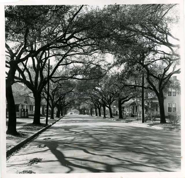 Houston, Texas in the 1950s (29).jpg