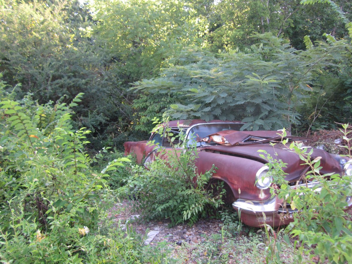 Hub cap 036.JPG