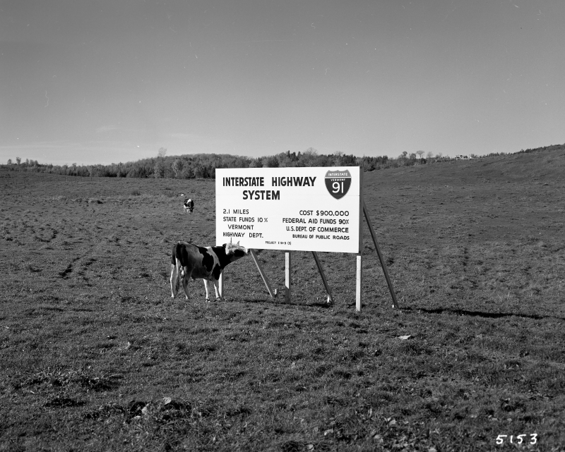 i-91 cow.jpg