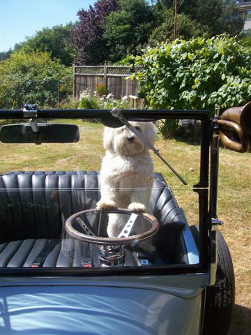 I\'ll drive.JPG