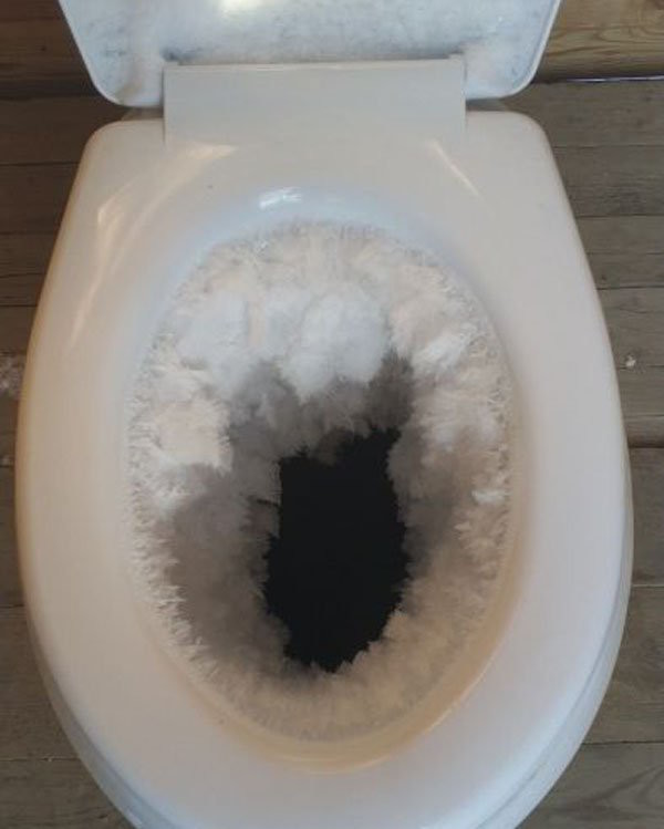 image.jpeg