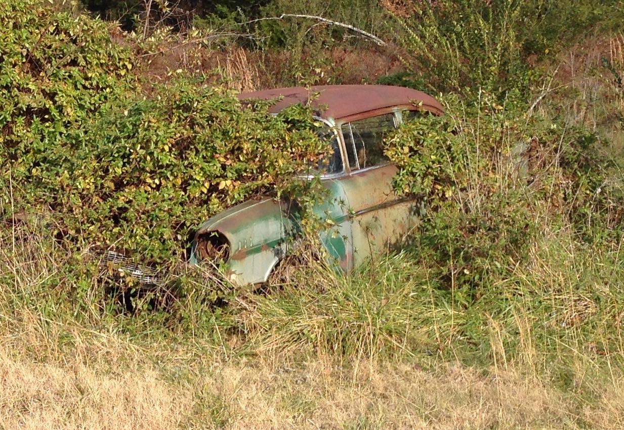 image.jpg
