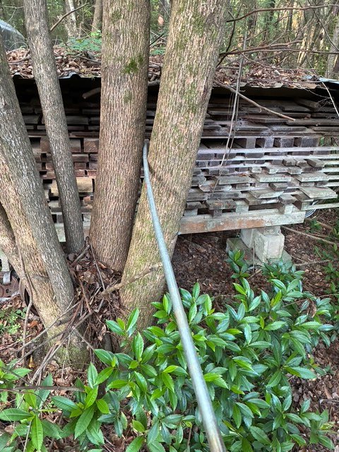 image0-12.jpeg