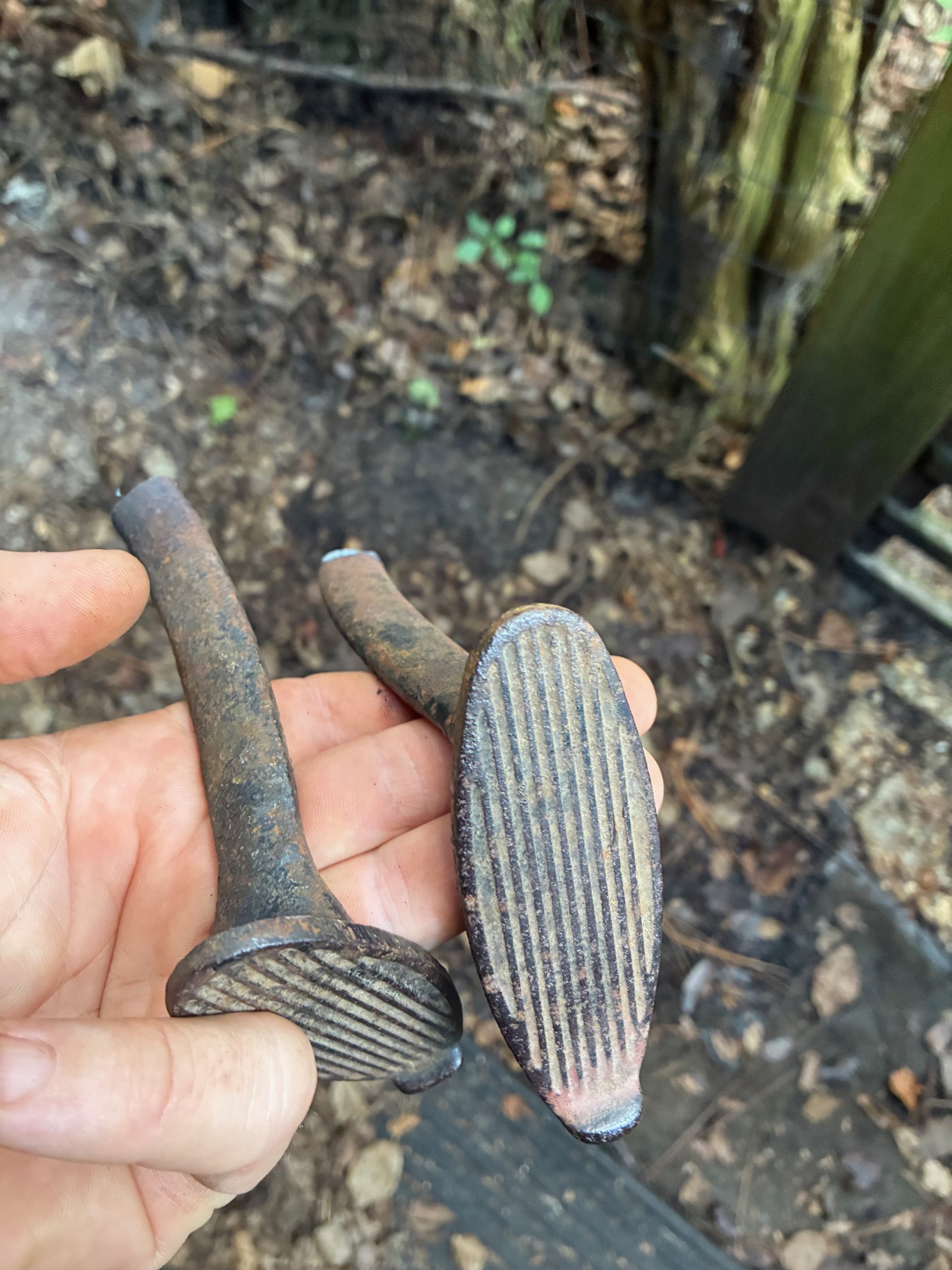 image1-22.jpeg