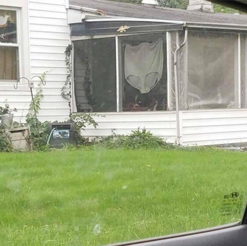 image1.jpeg