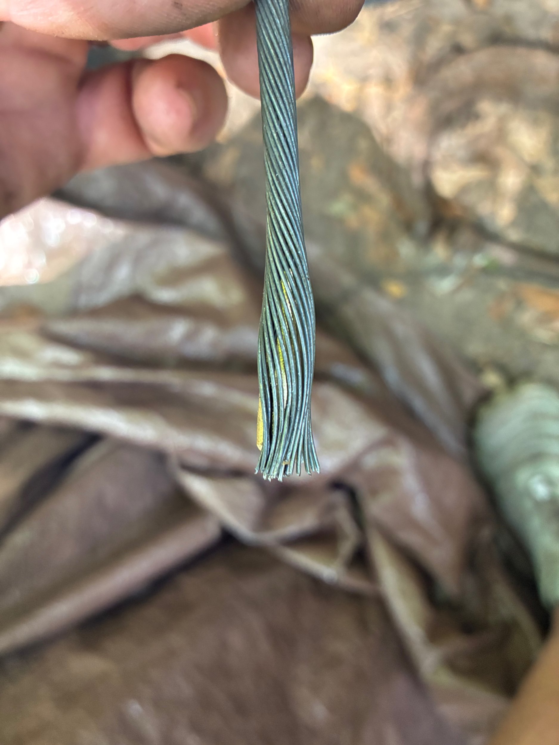 image2-25.jpeg