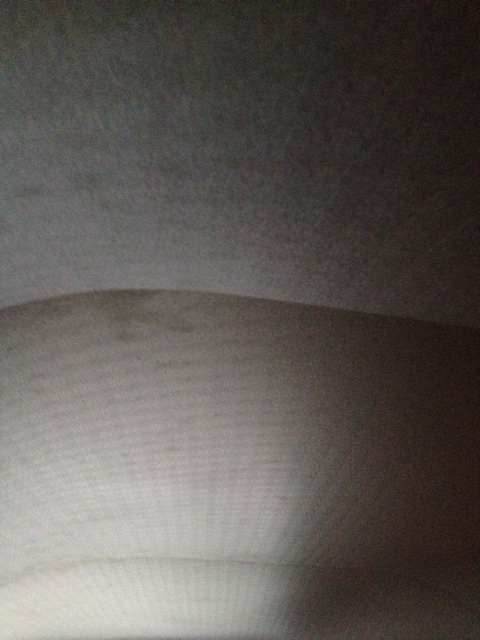 image7.jpeg