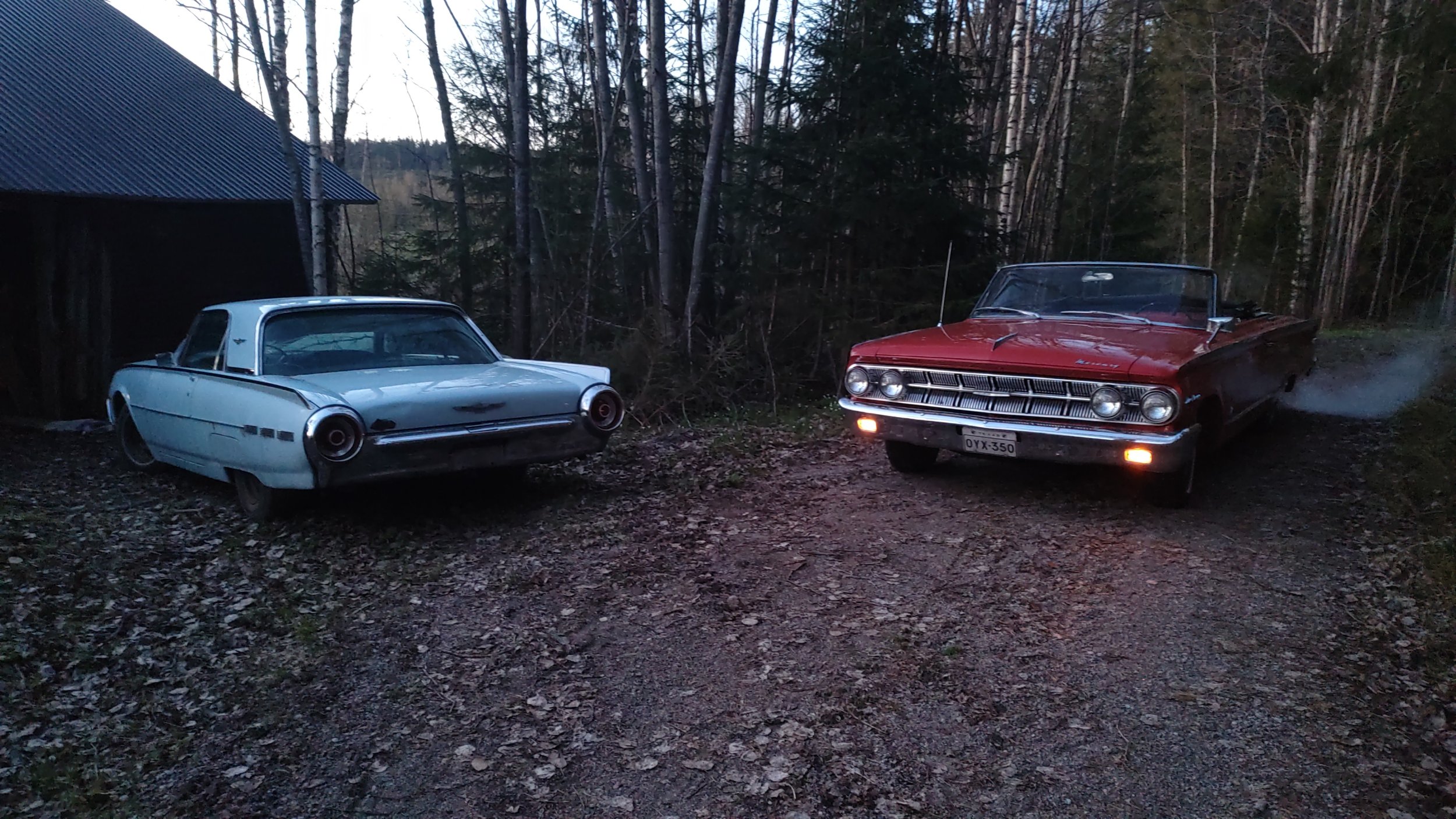 IMG-20250509-WA0015.jpeg