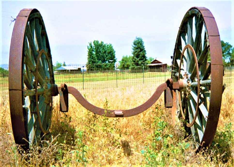 IMG033 3.jpg