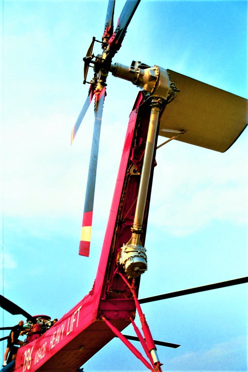 IMG126.jpg