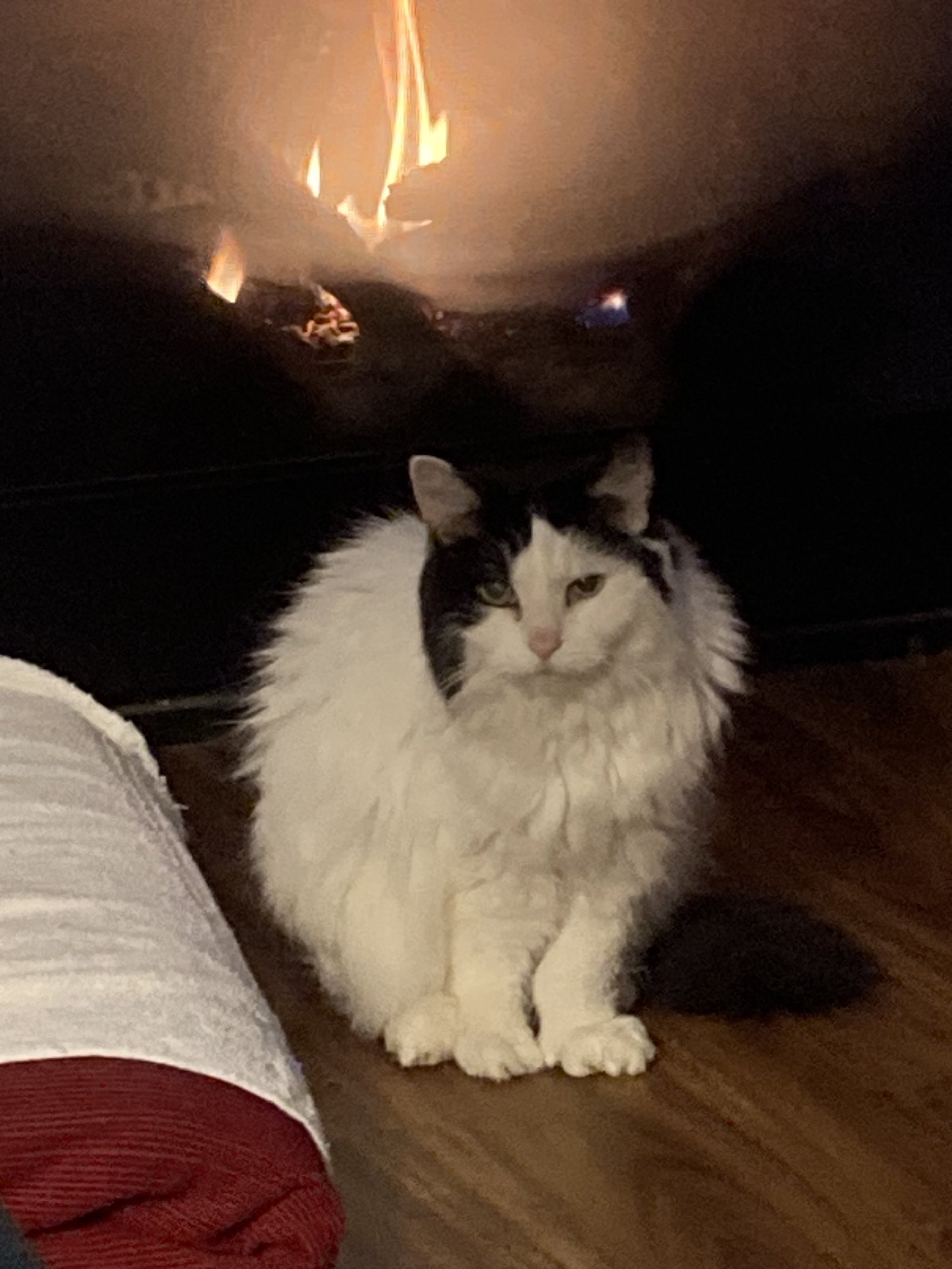 IMG_0374.jpeg