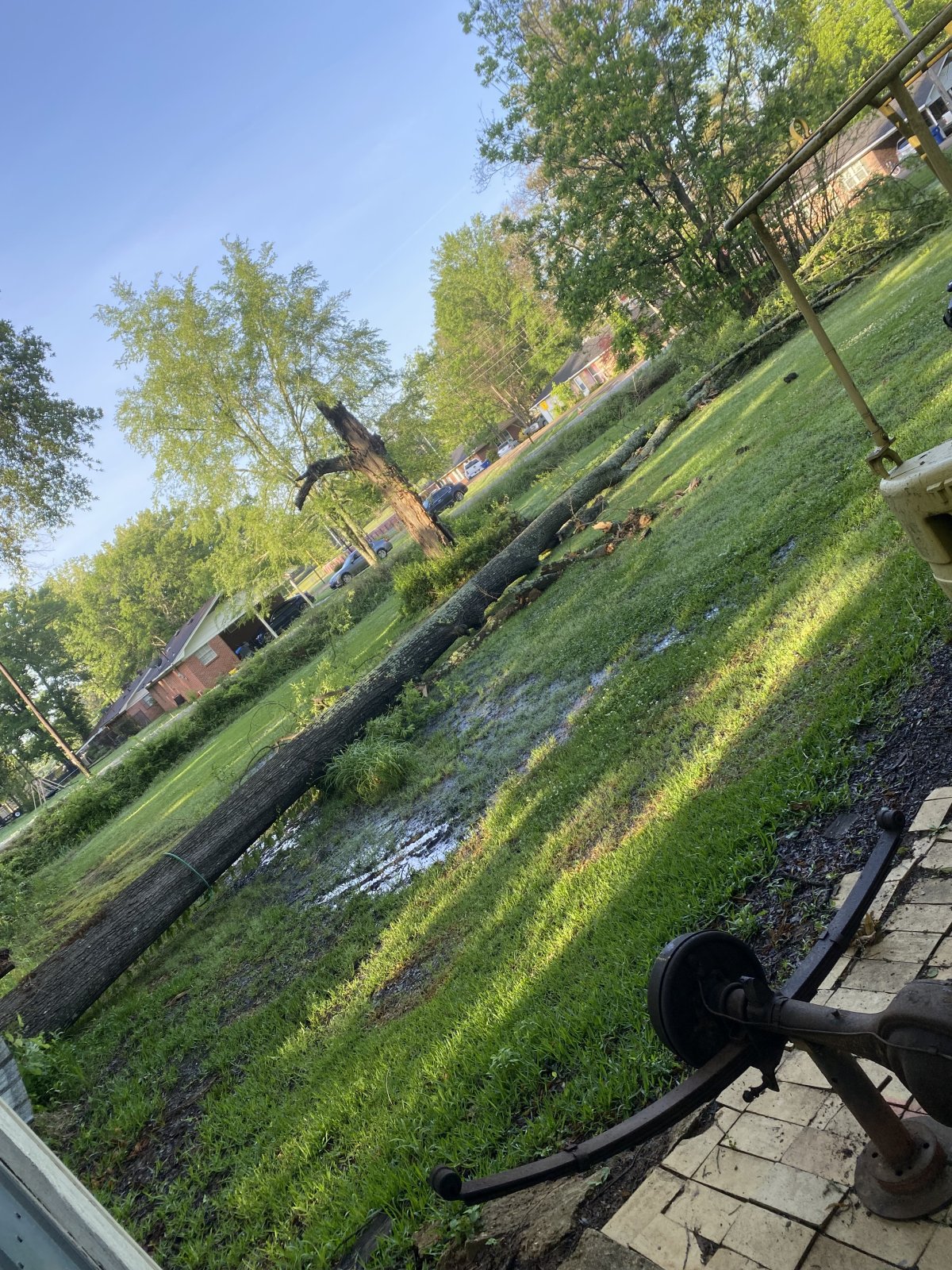 IMG_0650.jpeg