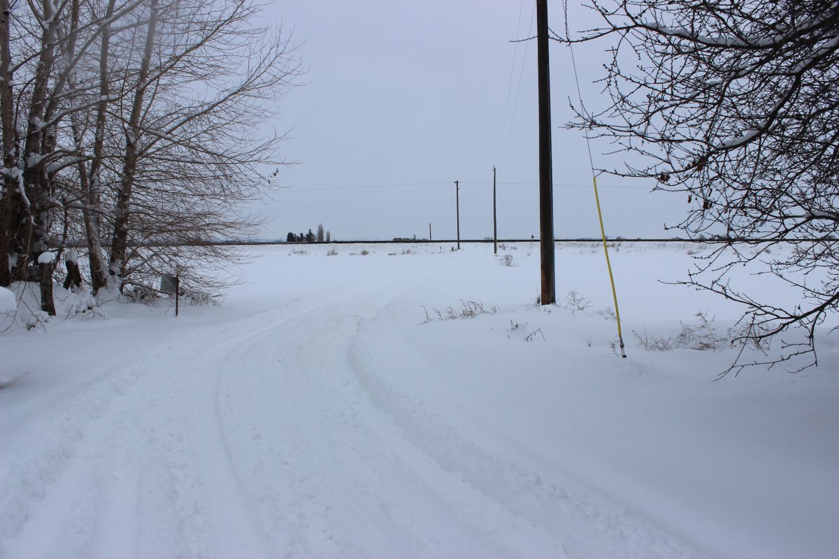 IMG_0779.JPG
