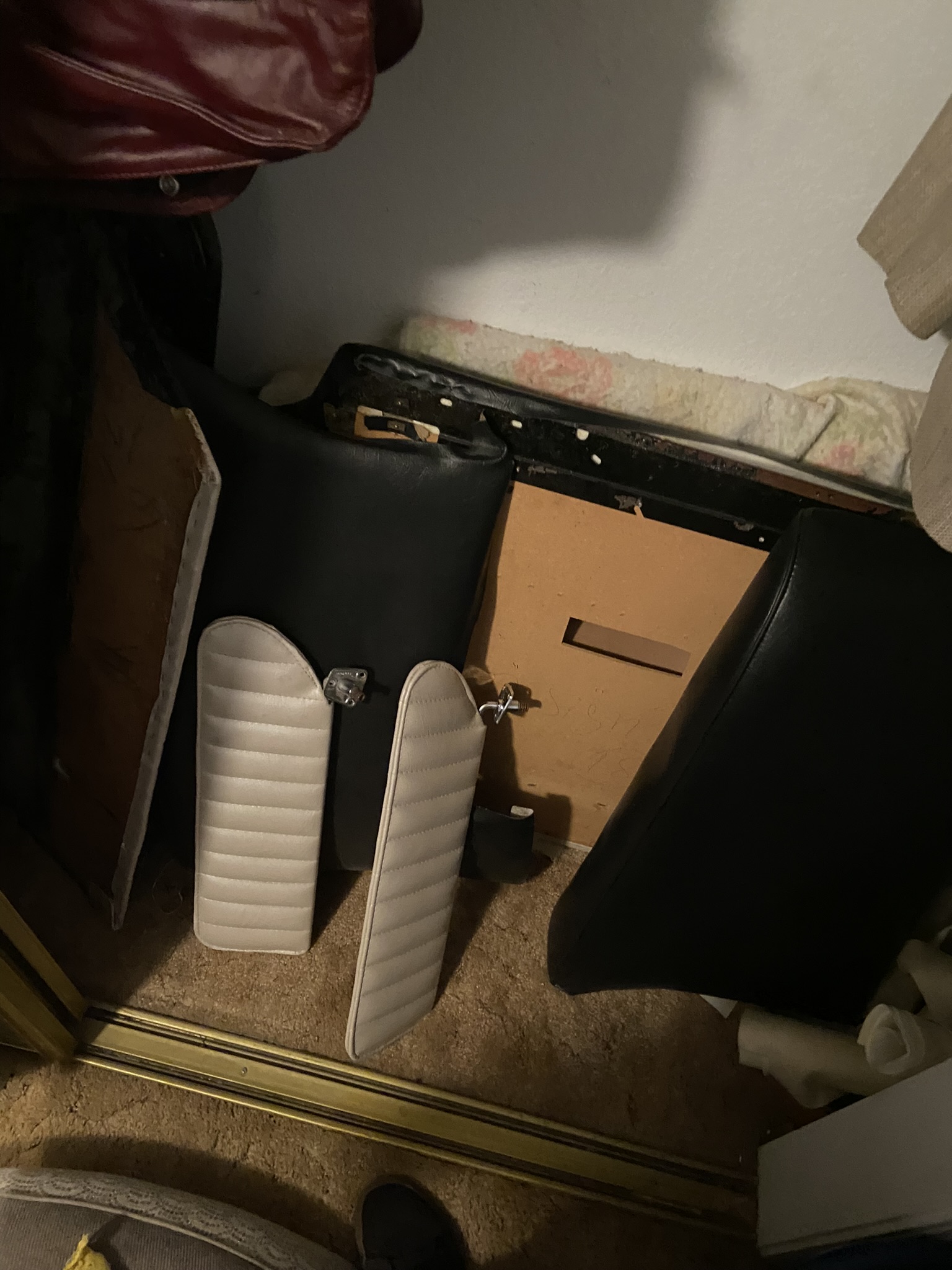 IMG_0972.JPEG