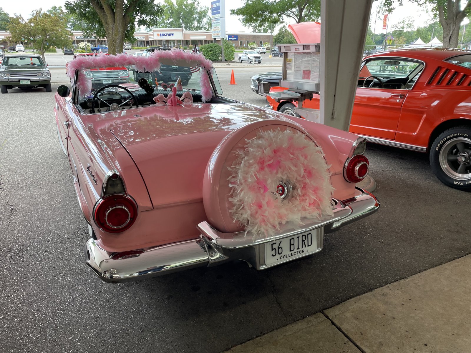 IMG_0989.jpeg