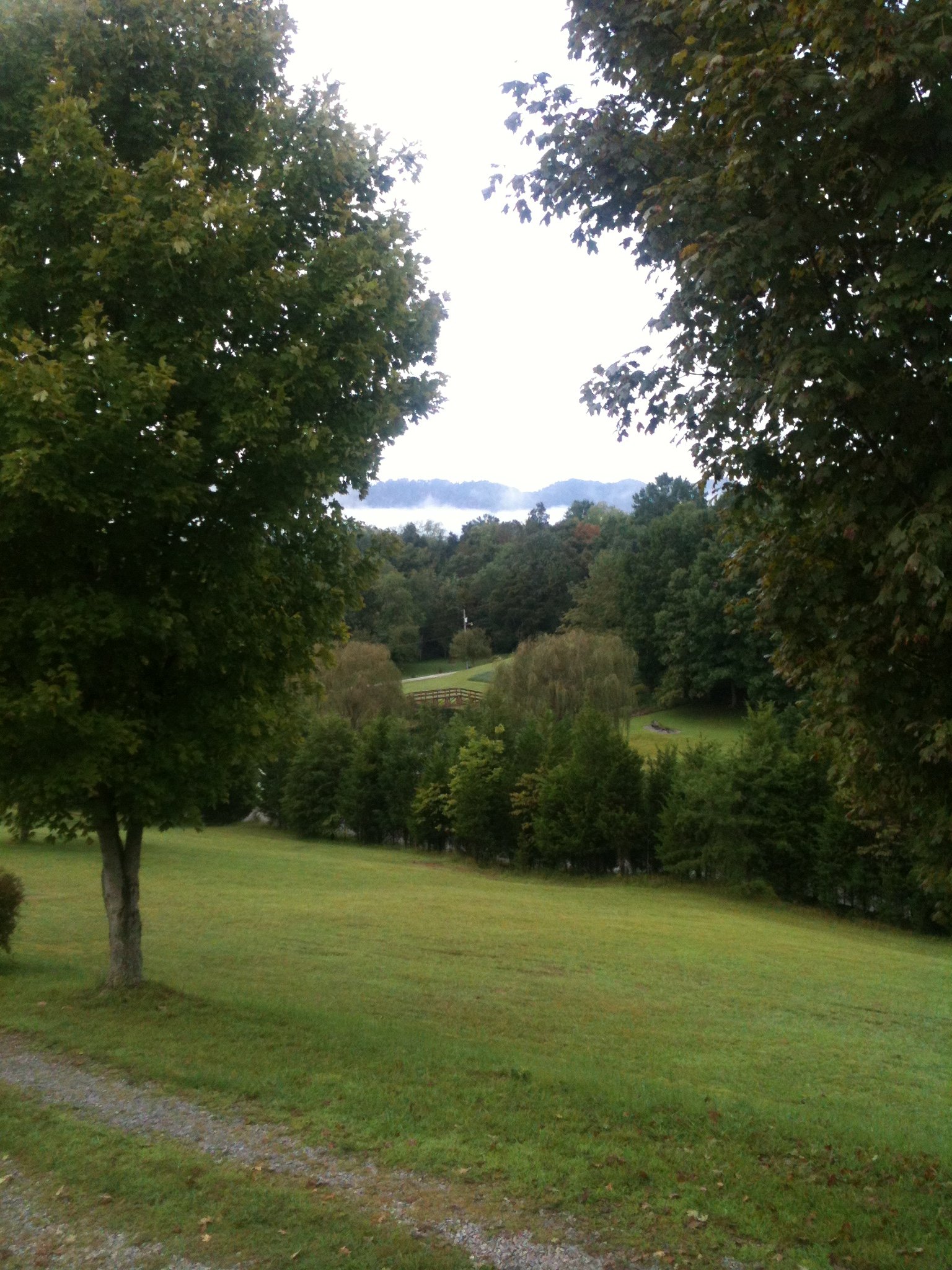 IMG_1304.jpeg