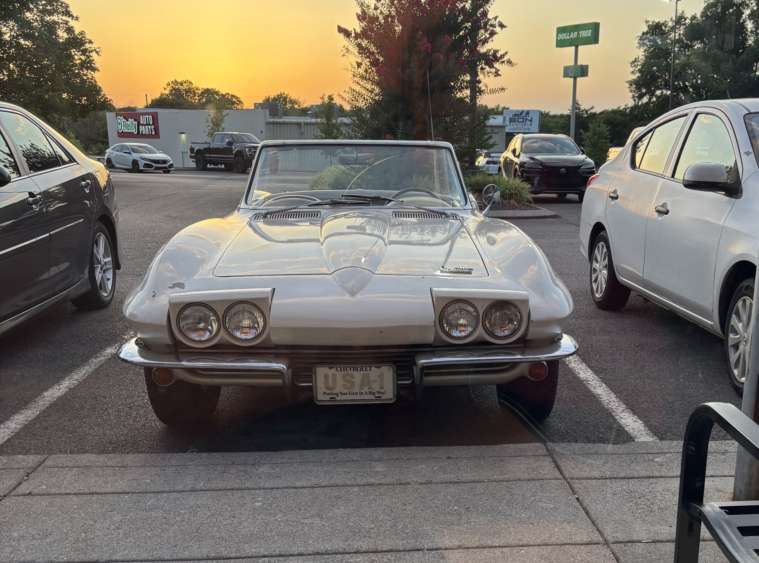 IMG_1329.jpeg