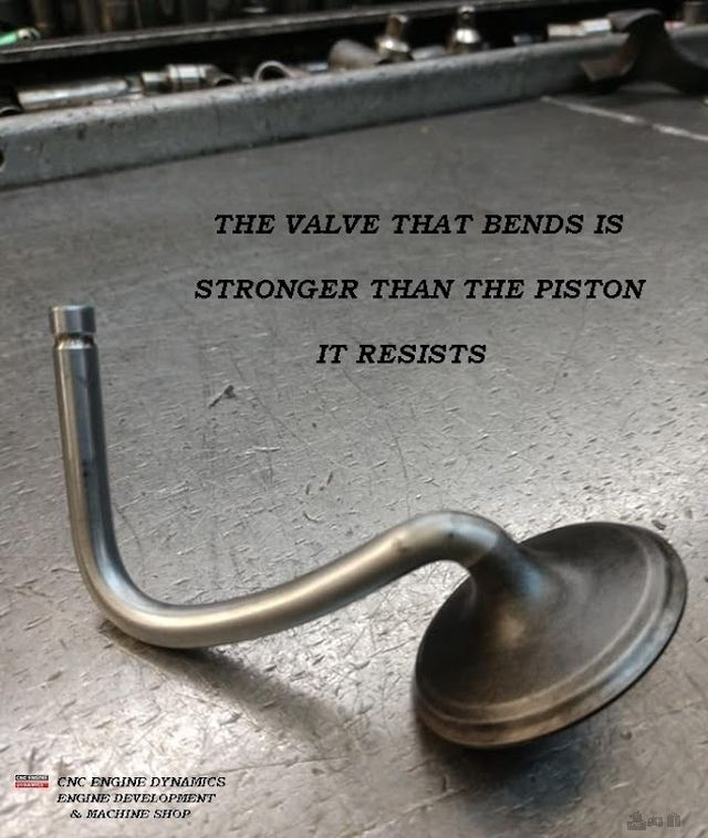 IMG_1986.png