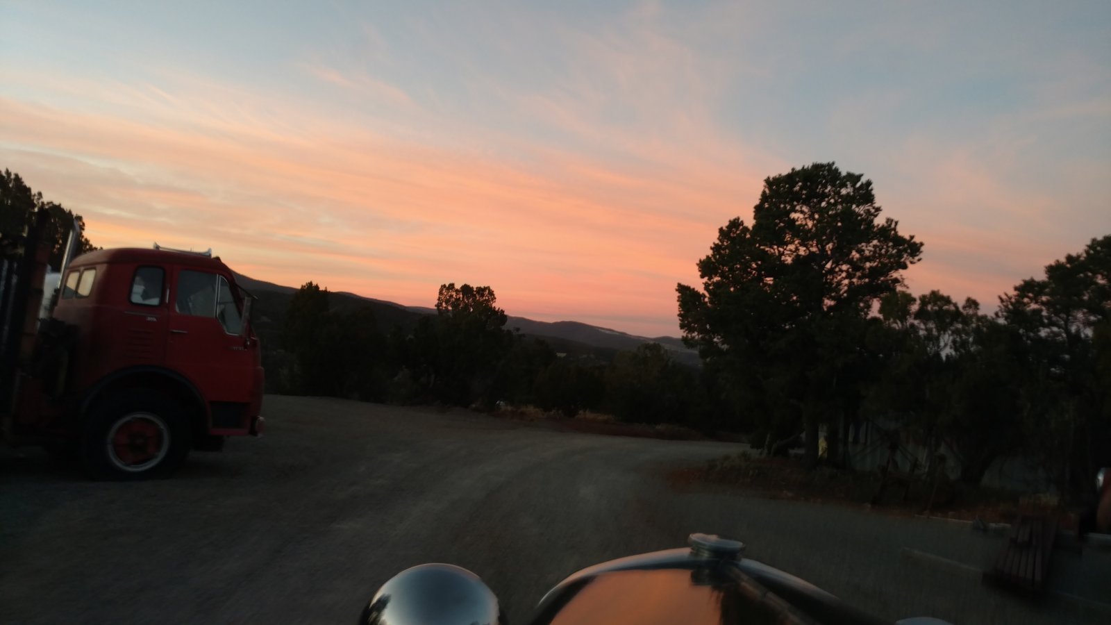 IMG_20211119_063557280_TOP.jpg