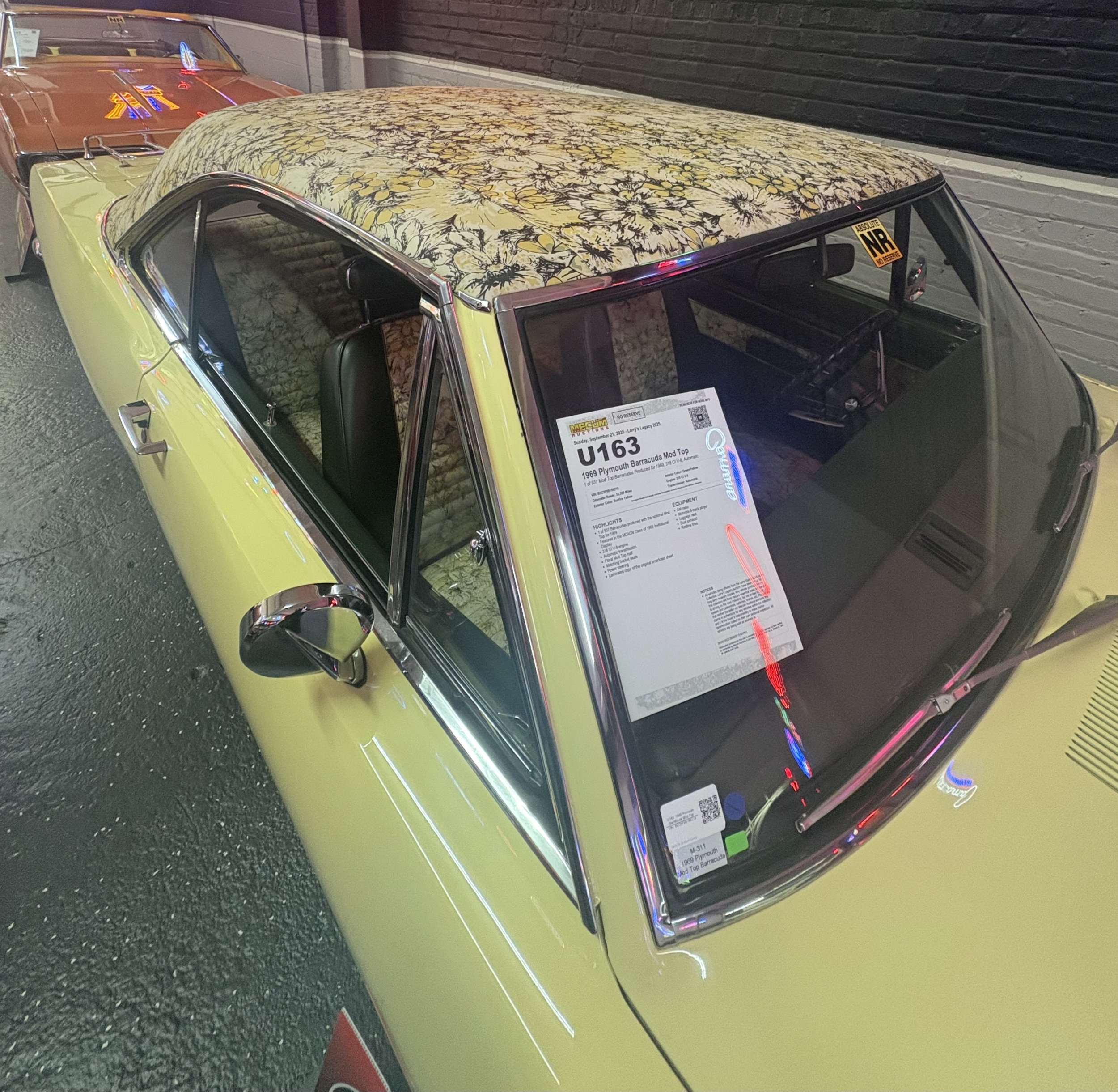 IMG_2040.jpeg