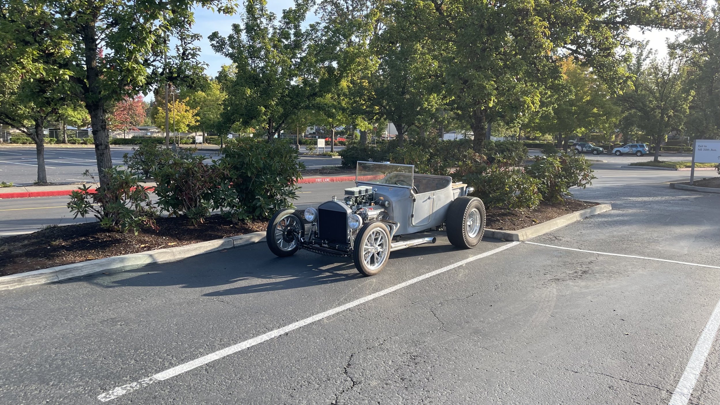 IMG_2965.jpeg