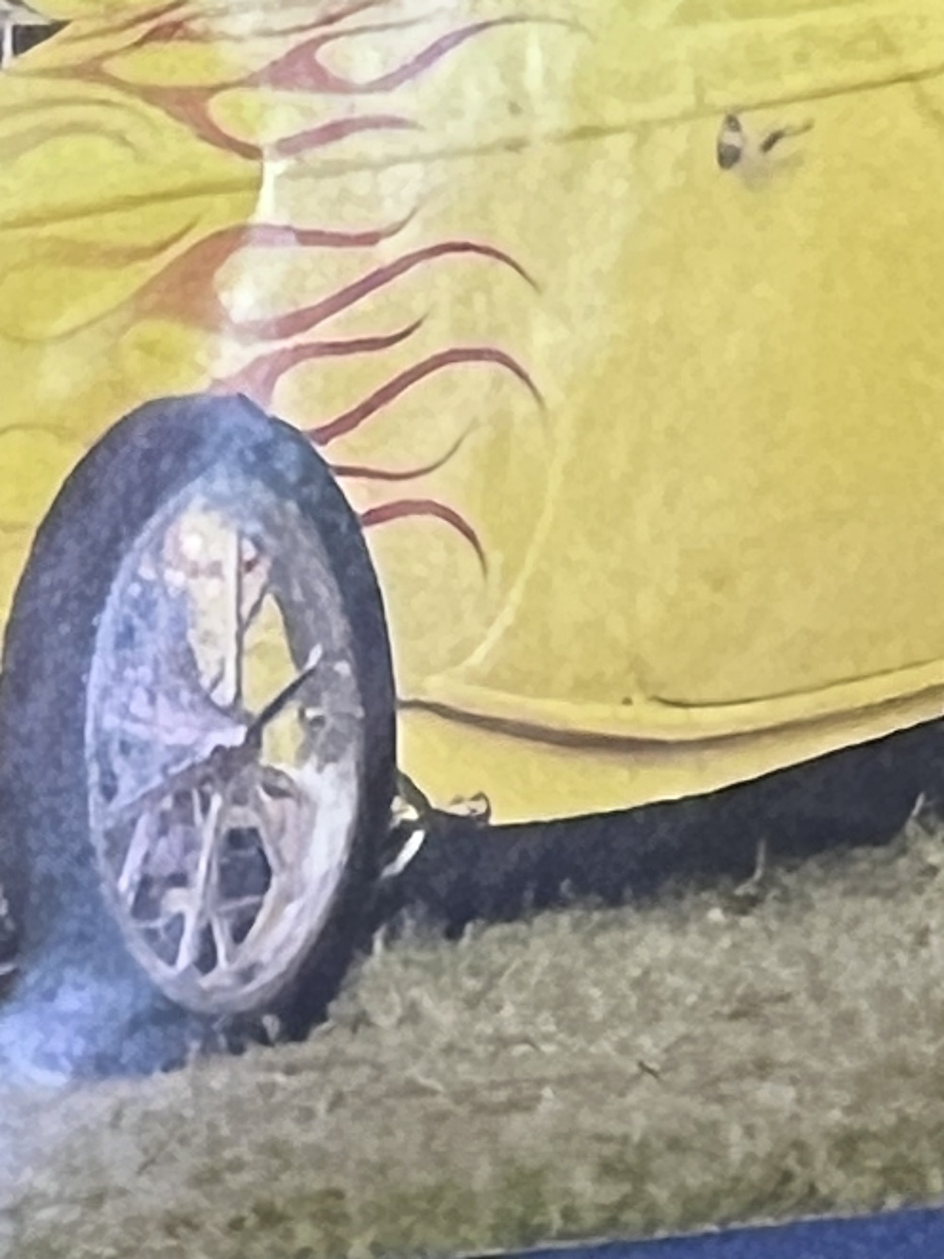 IMG_3474.jpeg