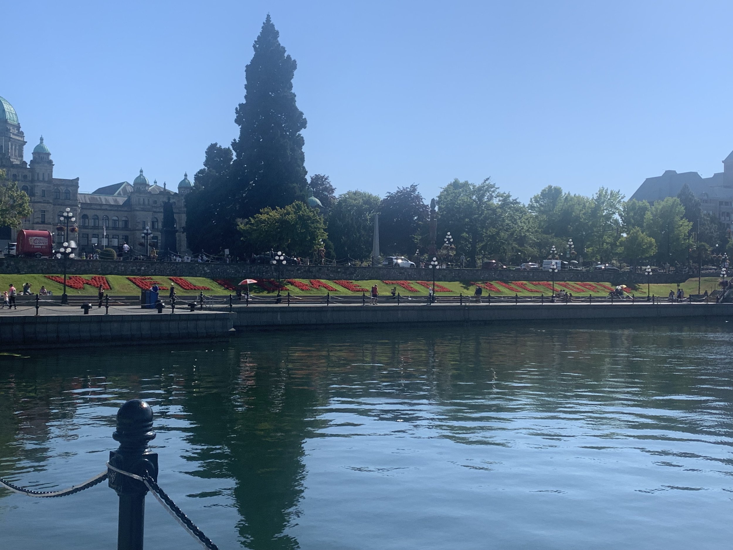 IMG_3802.jpeg
