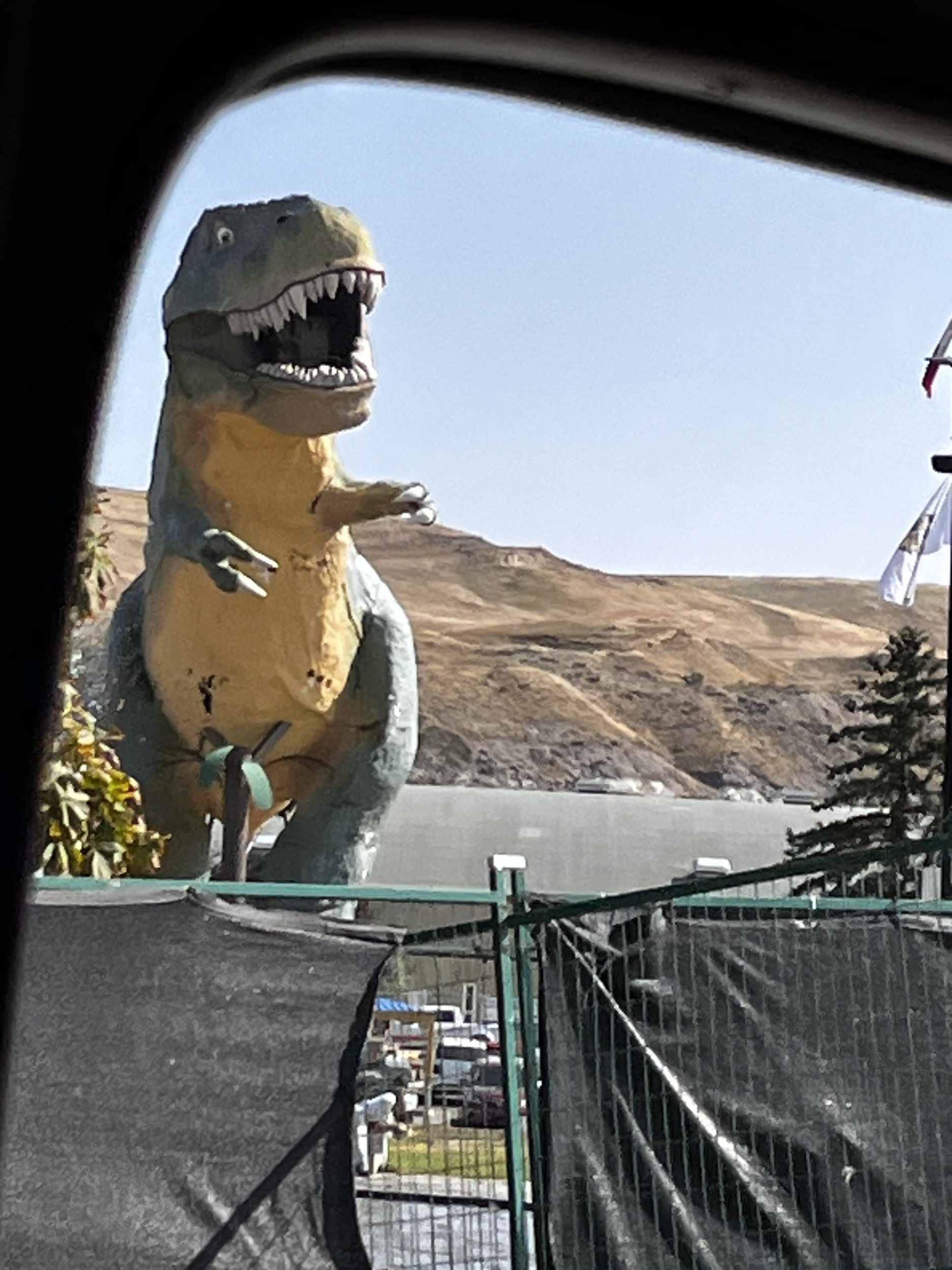 IMG_4130.jpeg