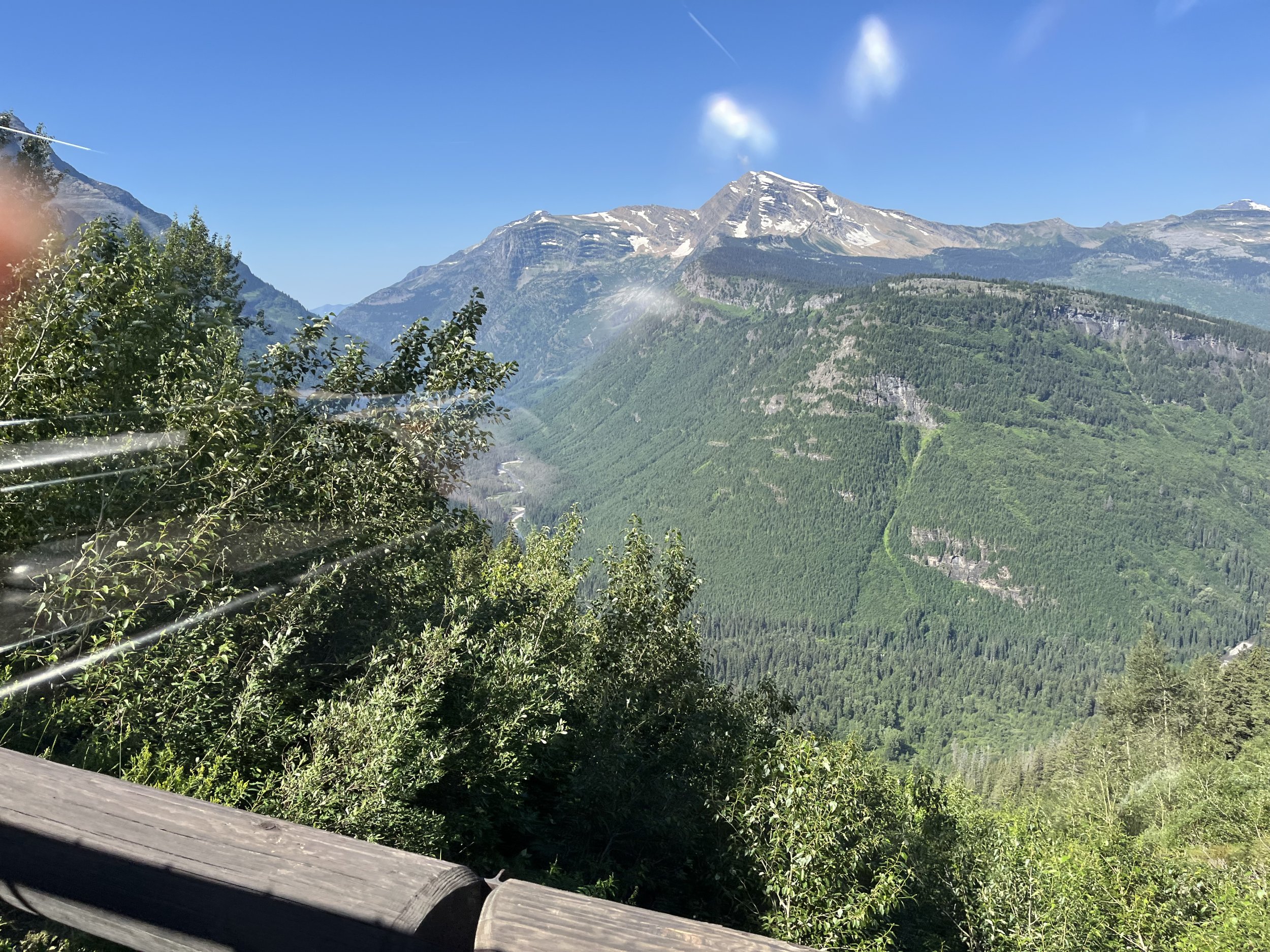 IMG_4367.jpeg