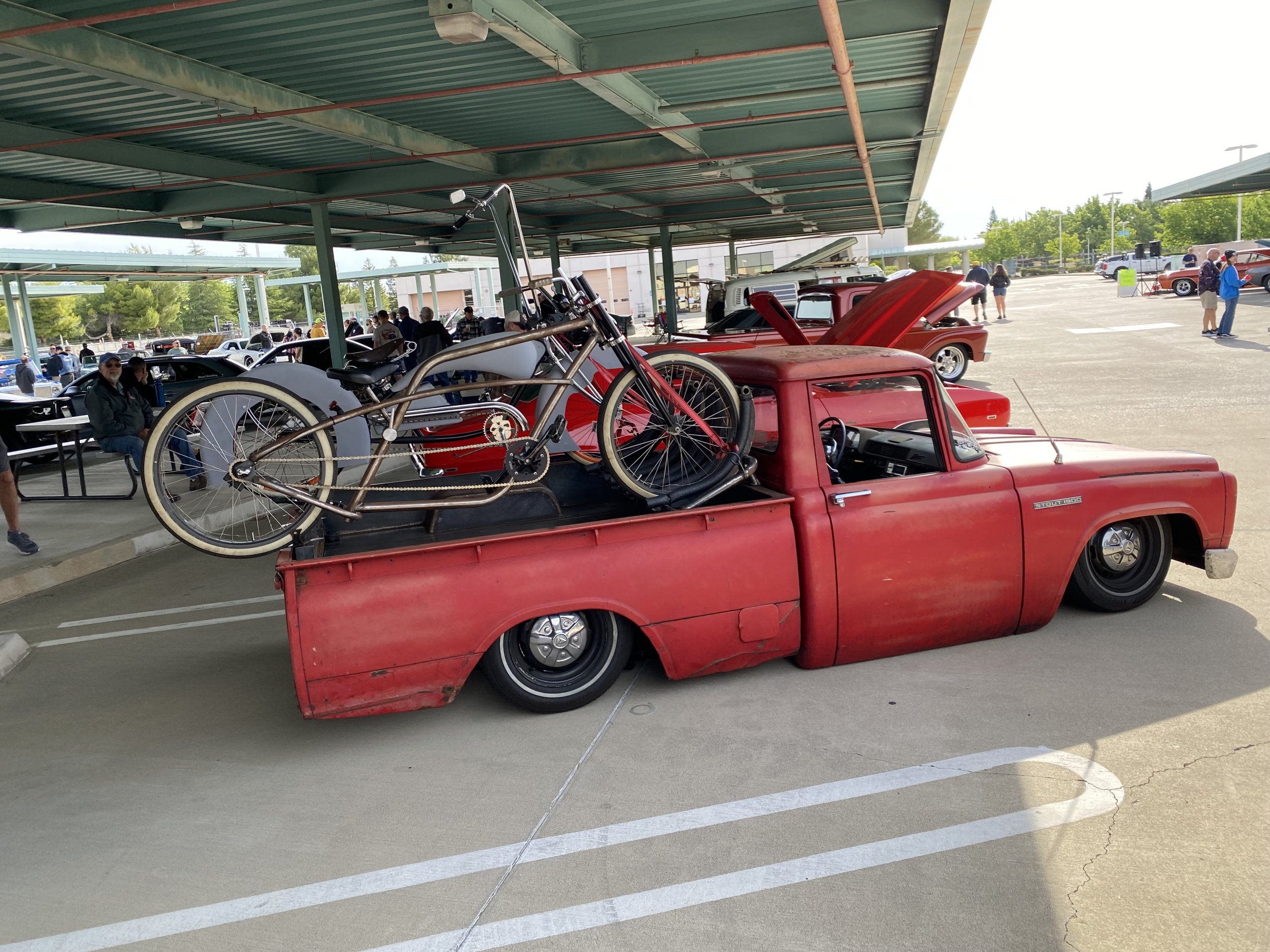 IMG_4536.jpeg