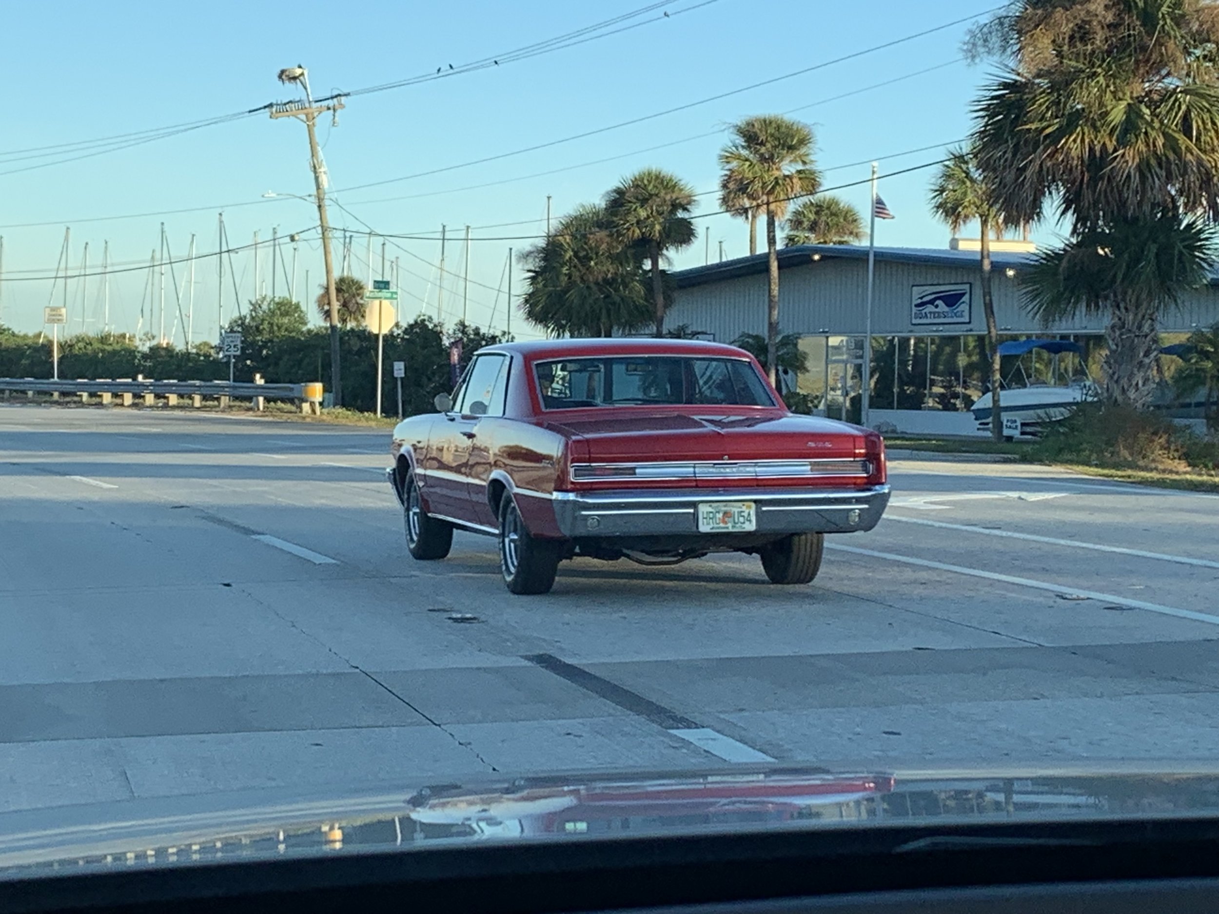 IMG_4626.jpeg