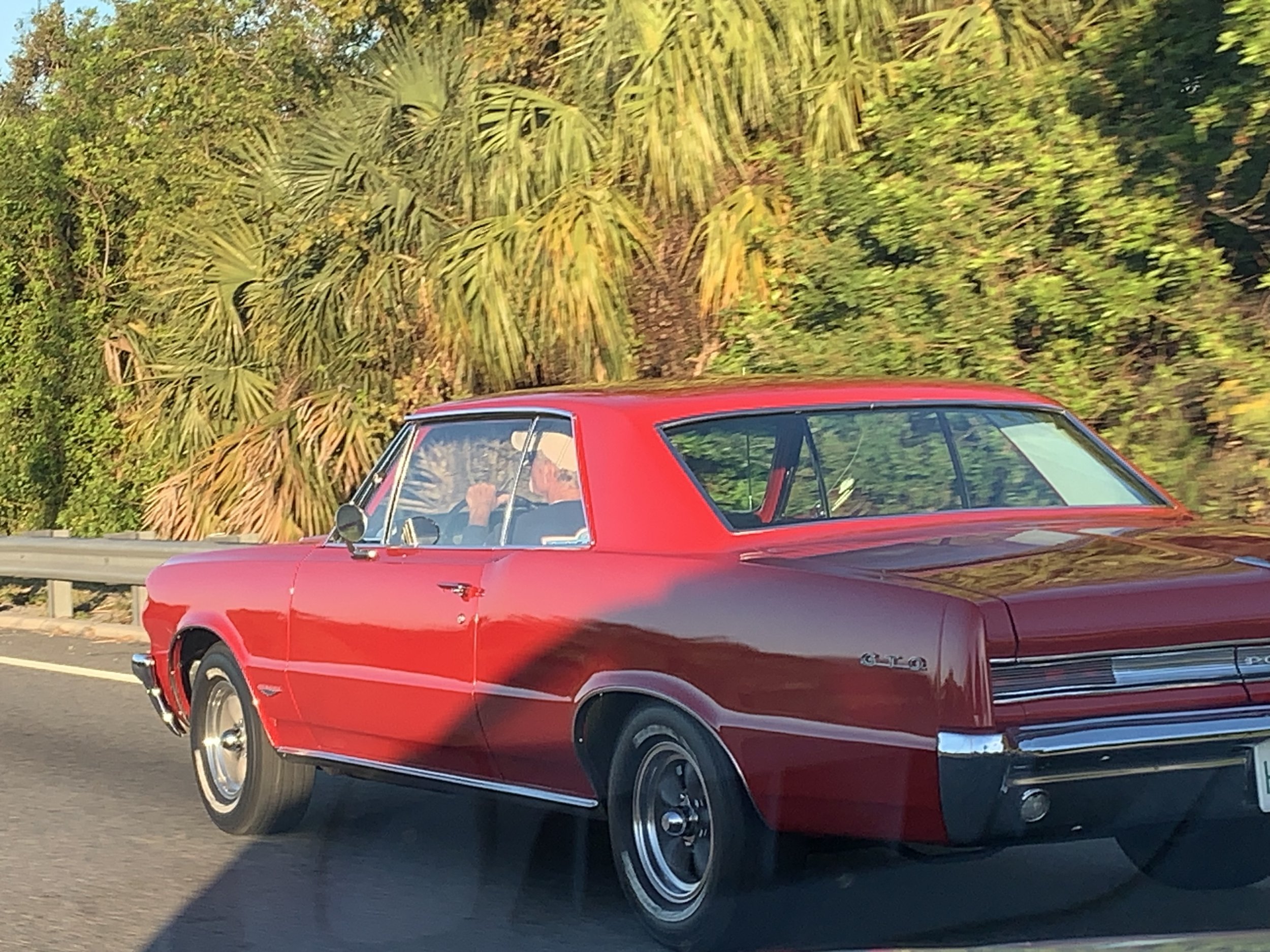 IMG_4627.jpeg