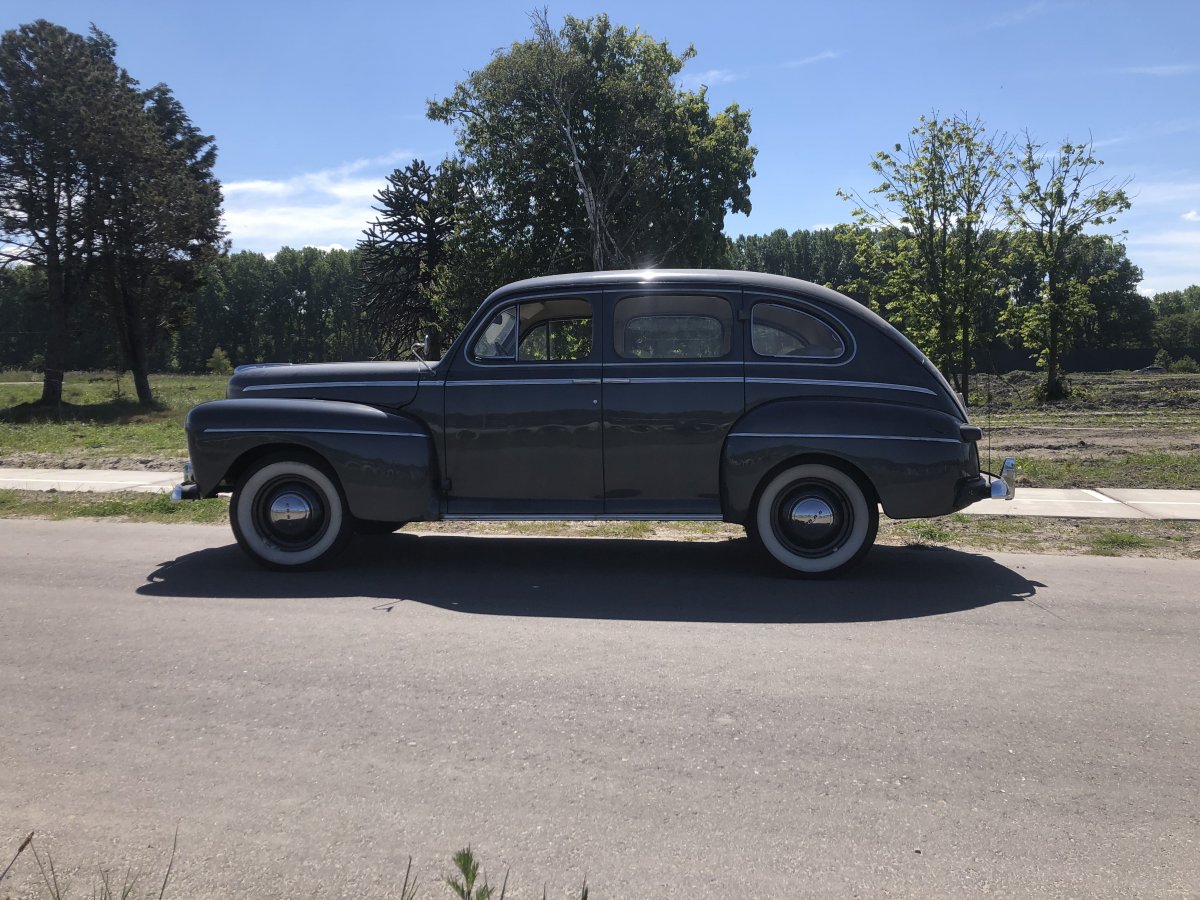 IMG_4635.jpeg