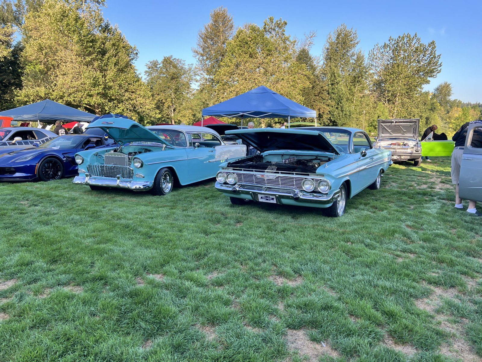 IMG_4755.jpeg