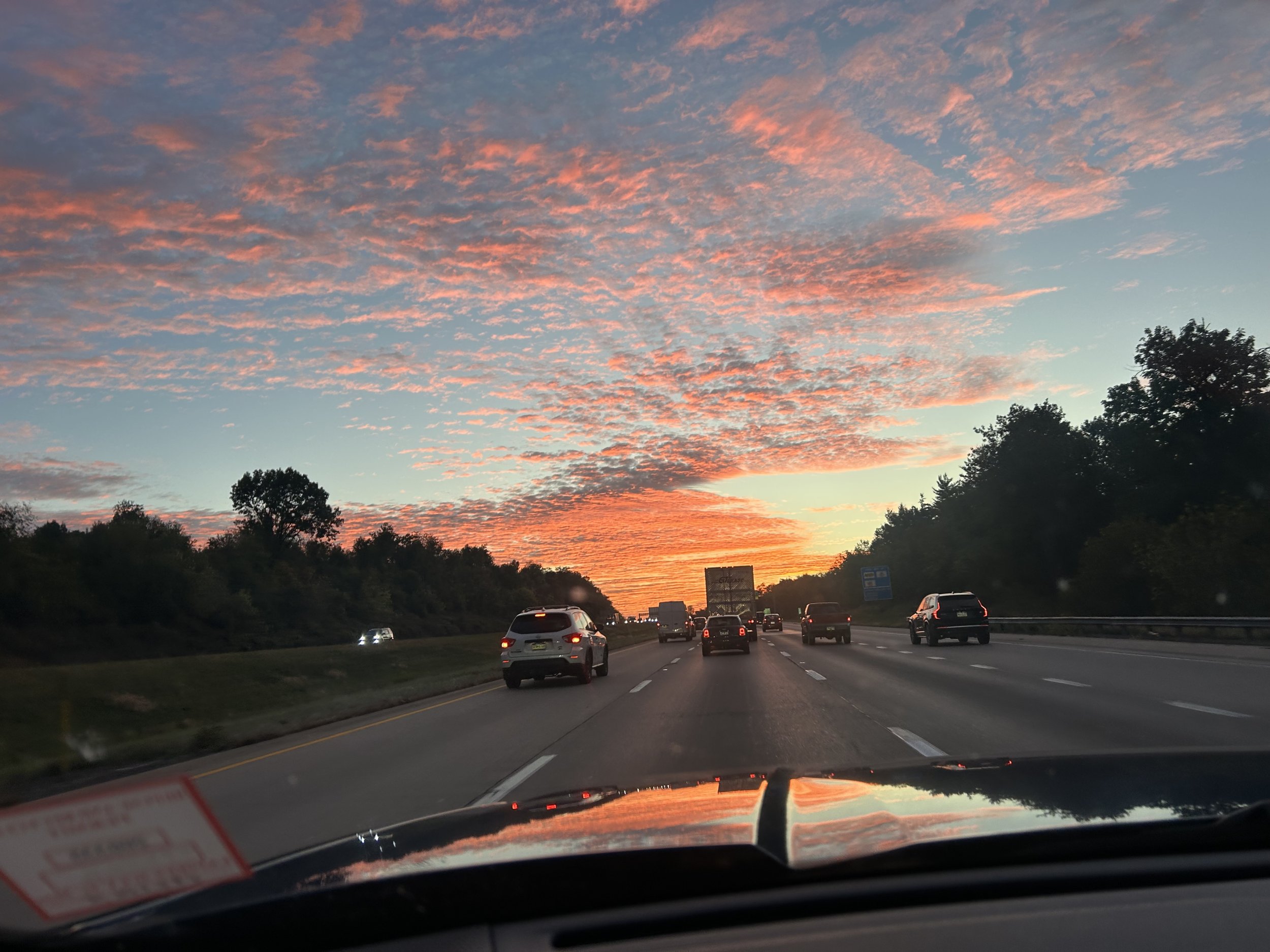 IMG_5810.jpeg