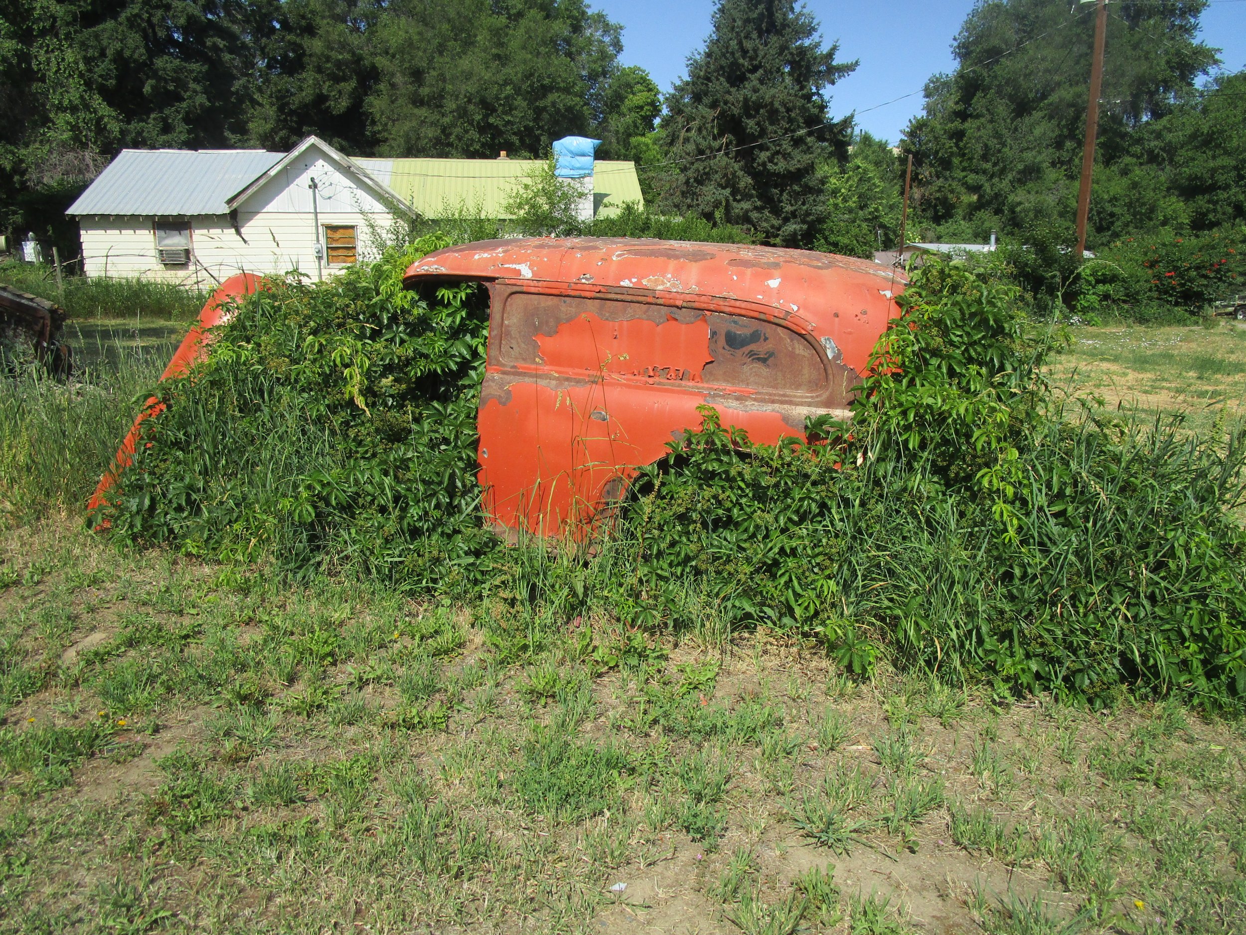 IMG_6000.JPG