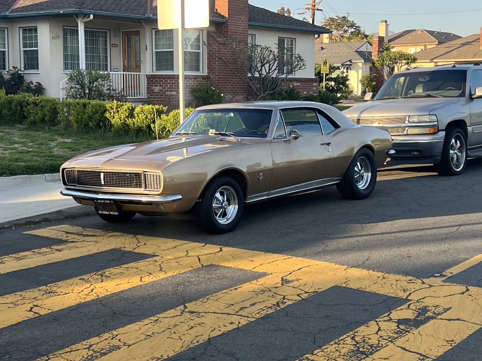 IMG_6774.jpeg