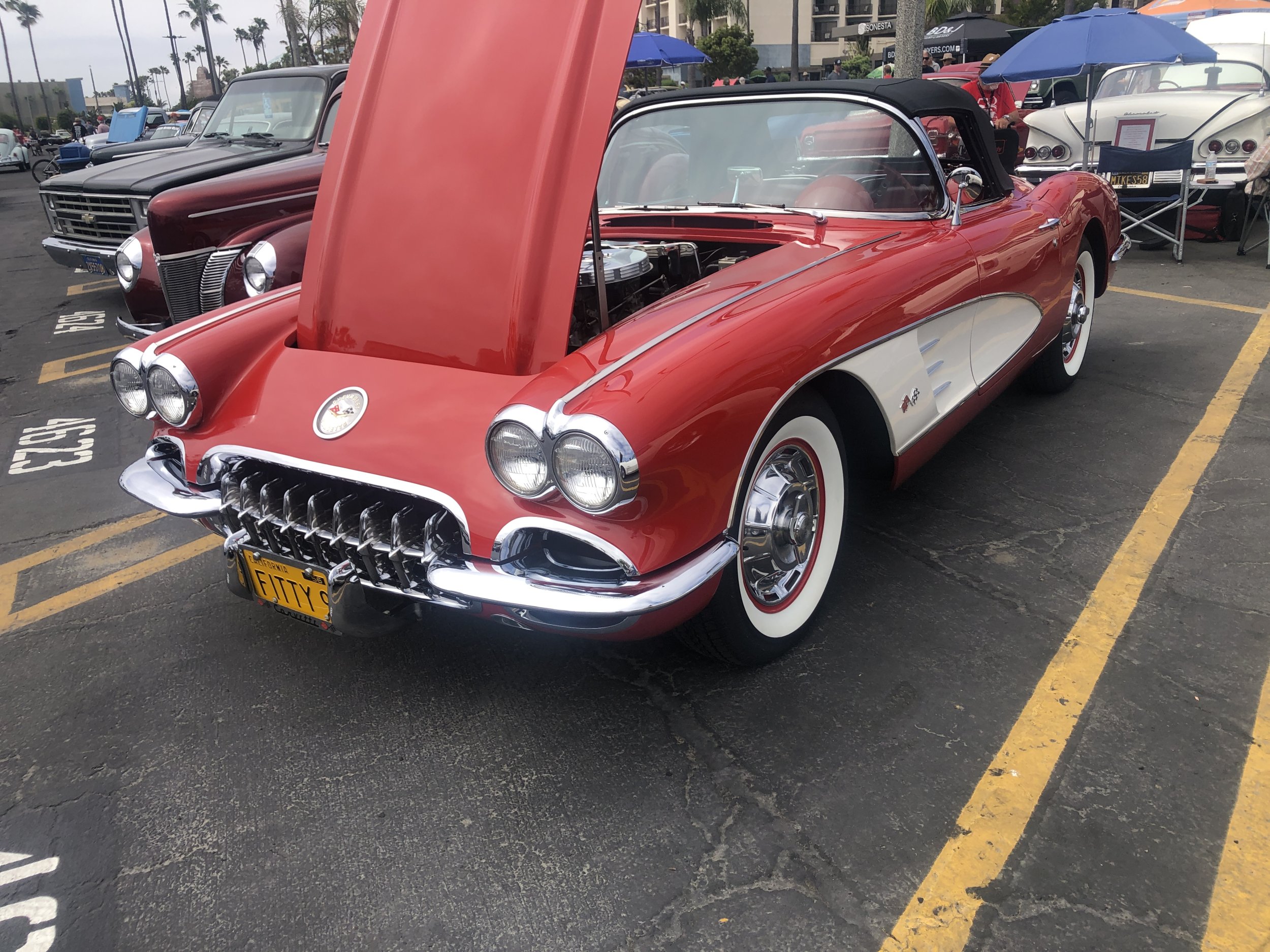 IMG_7043.jpeg